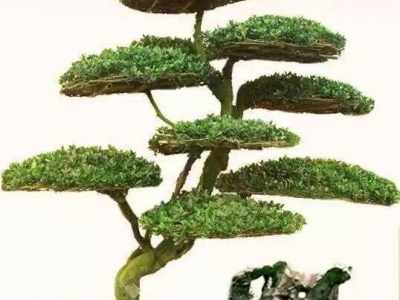 熱鍍鋅絲草原網(wǎng)