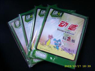 綠色浸塑網(wǎng)